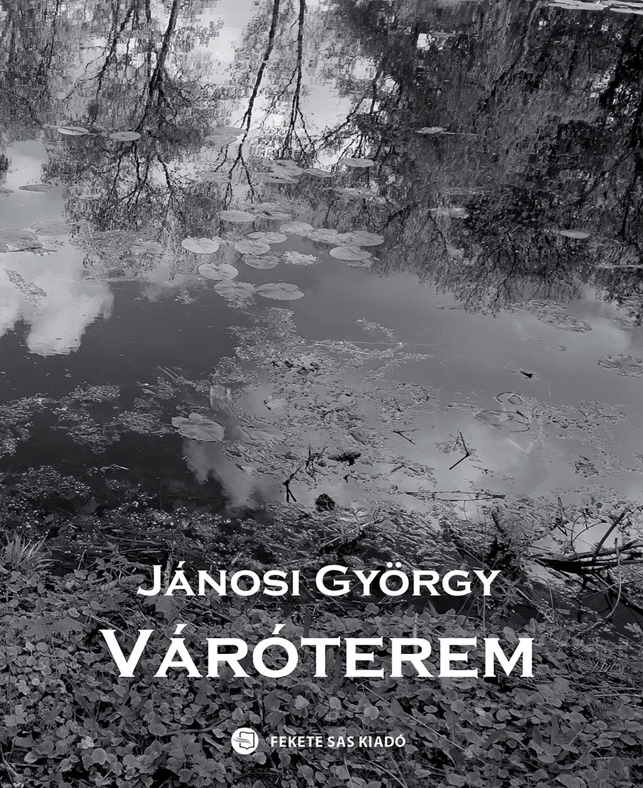 Jánosi György - Váróterem