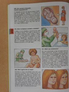 B. Méhes Vera - Minden napra egy kérdés [antikvár]