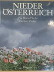 Pia Maria Plechl - Niederösterreich [antikvár]