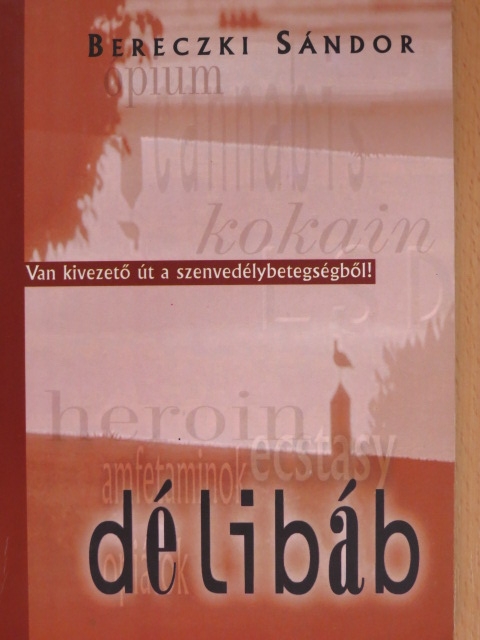 Bereczki Sándor - Délibáb [antikvár]