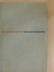 Alexander Niklitschek - Im Zaubergarten der Mathematik [antikvár]