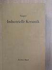 Felix Singer - Industrielle Keramik II. [antikvár]