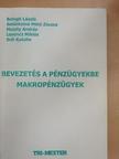 Galántainé Máté Zsuzsa - Bevezetés a pénzügyekbe - makropénzügyek [antikvár]