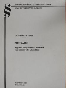 Dr. Breznay Tibor - Munkajog [antikvár]