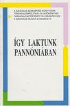 LÉDERER PÁL - Így laktunk Pannóniában [antikvár]