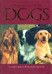 Bryan Richard - A Pocket Guide to Dogs [antikvár]