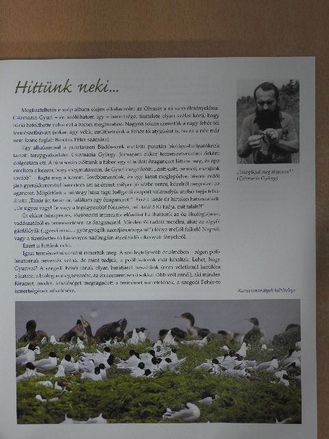 Csizmazia György - Fellegek vándorai [antikvár]