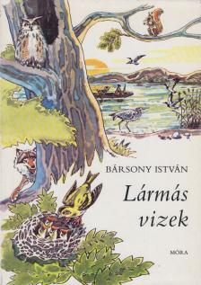BÁRSONY ISTVÁN - Lármás vizek [antikvár]