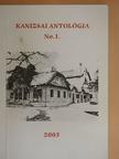 Csere Andrea - Kanizsai antológia 1.  [antikvár]