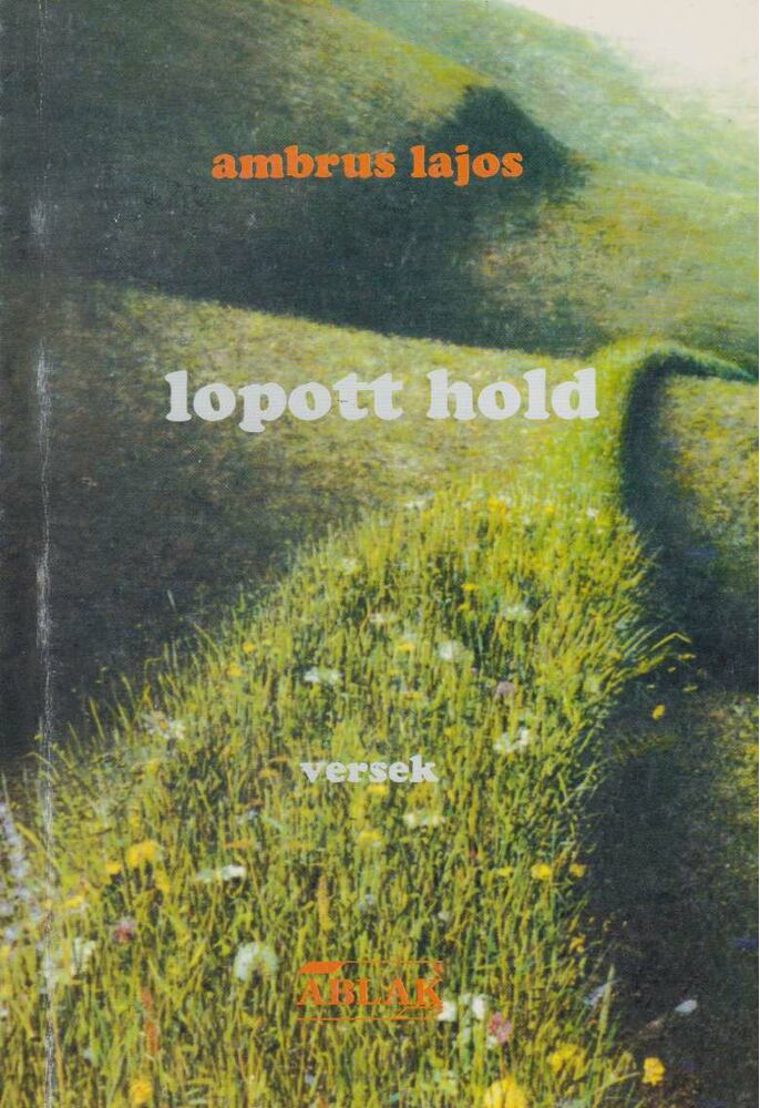 Ambrus Lajos - Lopott hold [antikvár]