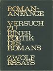 Norbert Miller - Romananfänge versuch zu einer Poetik des Romans [antikvár]