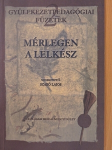 Baranyayné Rohn Erzsébet - Mérlegen a lelkész [antikvár]