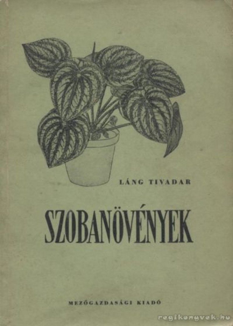 Láng Tivadar - Szobanövények [antikvár]