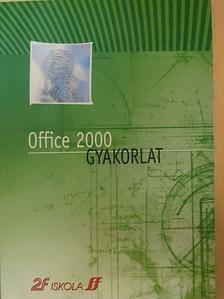 Office 2000 - Gyakorlat [antikvár]