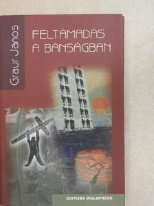 Graur János - Feltámadás a Bánságban [antikvár]