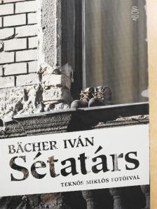 Bächer Iván - Sétatárs [antikvár]