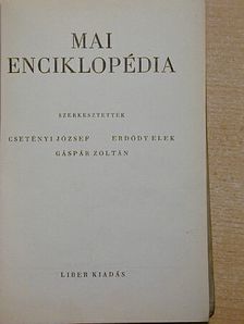 Mai enciklopédia [antikvár]
