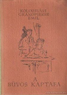 KOLOZSVÁRI GRANDPIERRE EMIL - A bűvös kaptafa [antikvár]