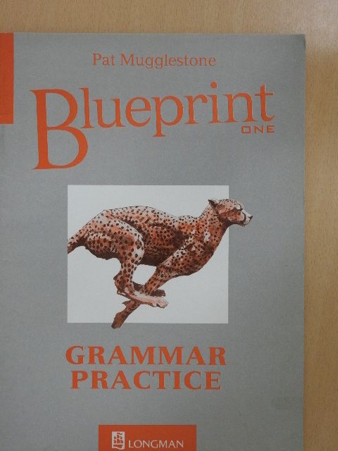 Pat Mugglestone - Blueprint One - Grammar Practice [antikvár]