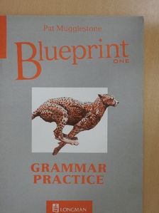 Pat Mugglestone - Blueprint One - Grammar Practice [antikvár]