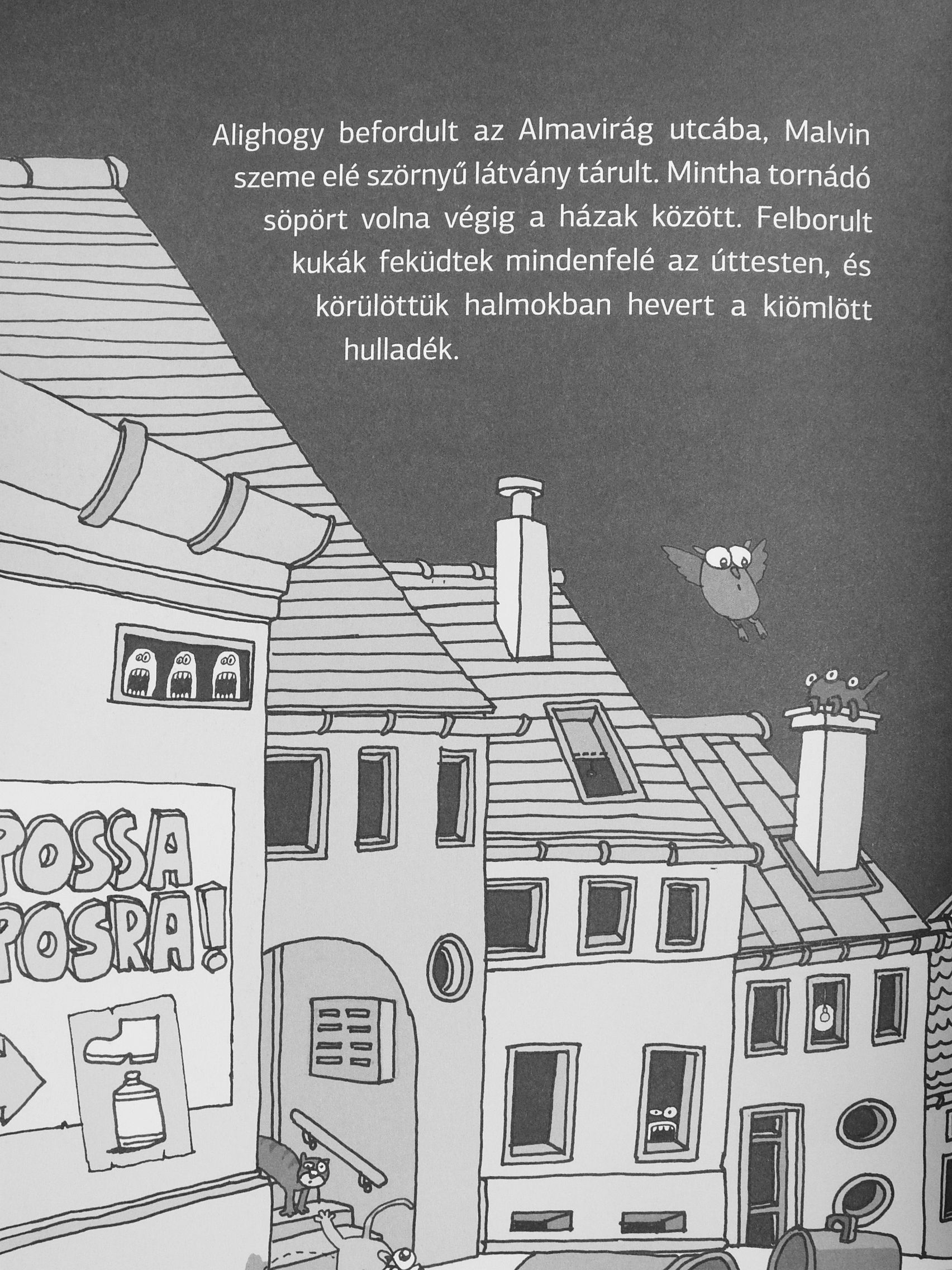 Zöld Panna - Virgonc városi nyomozók [antikvár]