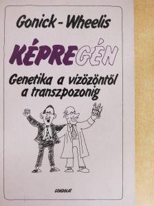 Larry Gonick - Képregén [antikvár]