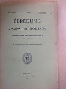 Horváth Ferenc - Ébredünk 1904. január [antikvár]