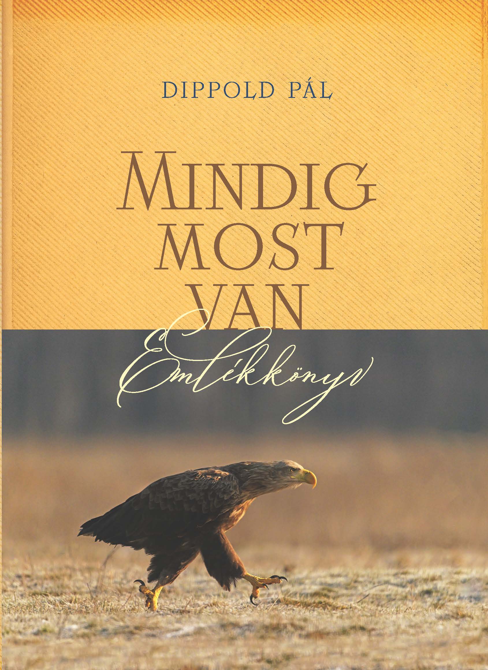 Dippold Pál - Mindig most van