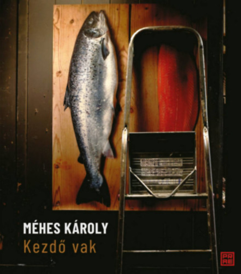 MÉHES KÁROLY - Kezdő vak [antikvár]