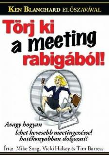 Mike Song, Vicki Halsey - Törj ki a meeting-rabigából! [antikvár]