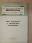 Luca Márta - A tőke felhalmozása és a proletariátus elnyomorodása [antikvár]
