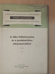 Luca Márta - A tőke felhalmozása és a proletariátus elnyomorodása [antikvár]