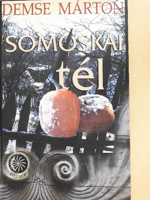 Demse Márton - Somoskai tél [antikvár]
