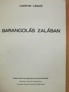 Lackner László - Barangolás Zalában [antikvár]