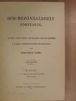 Szeremlei Samu - Hód-mező-vásárhely története III. [antikvár]