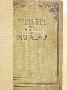 Textbibel des Alten und Neuen Testaments (gótbetűs) [antikvár]