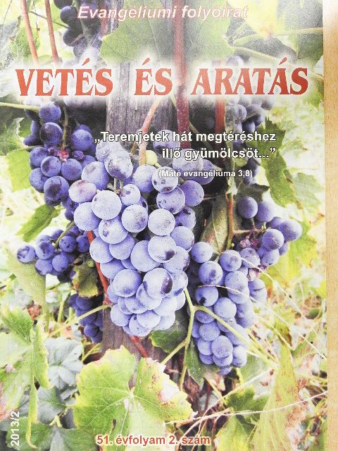 Túrmezei Erzsébet - Vetés és aratás 2013/2 [antikvár]