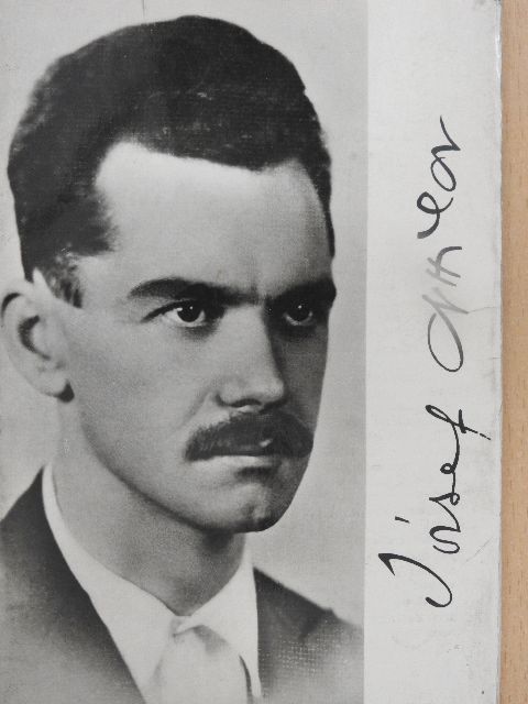 Fehér Erzsébet - József Attila [antikvár]