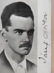 Fehér Erzsébet - József Attila [antikvár]