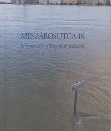 Medgyesi Gabriella, Pintér Judit - Mészáros utca 48. [antikvár]