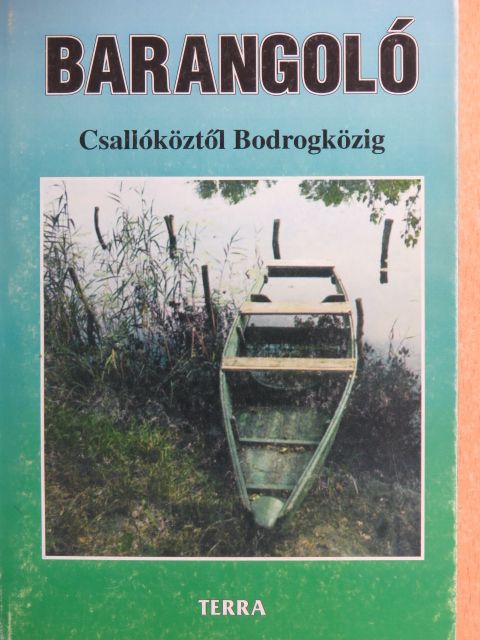 B. Kovács István - Barangoló [antikvár]