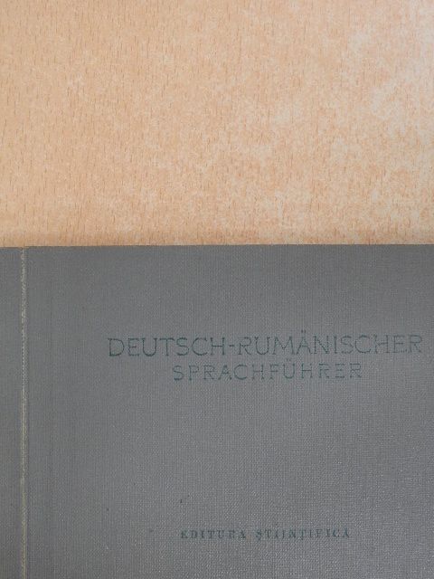 Vladimir Iliescu - Deutsch-Rumänischer Sprachführer [antikvár]
