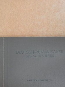 Vladimir Iliescu - Deutsch-Rumänischer Sprachführer [antikvár]