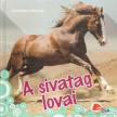 Slawik, Christiane - A sivatag lovai [antikvár]