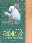 Kiran Desai - Ribillió a gyümölcsösben [antikvár]