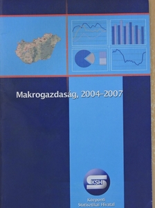 Makrogazdaság, 2004-2007 [antikvár]