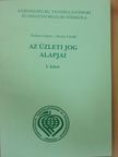 Dr. Halmai Gábor - Az üzleti jog alapjai I. [antikvár]