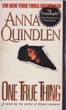 ANNA QUINDLEN - One True Thing [antikvár]