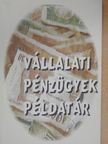 Vállalati pénzügyek példatár [antikvár]