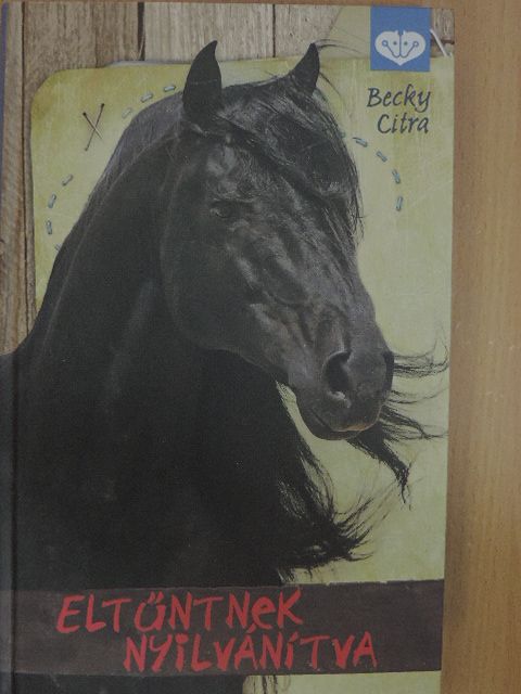 Becky Citra - Eltűntnek nyilvánítva [antikvár]